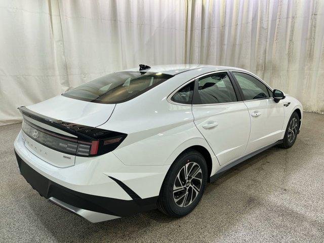 New 2026 Serenity White Hyundai Blue image 8