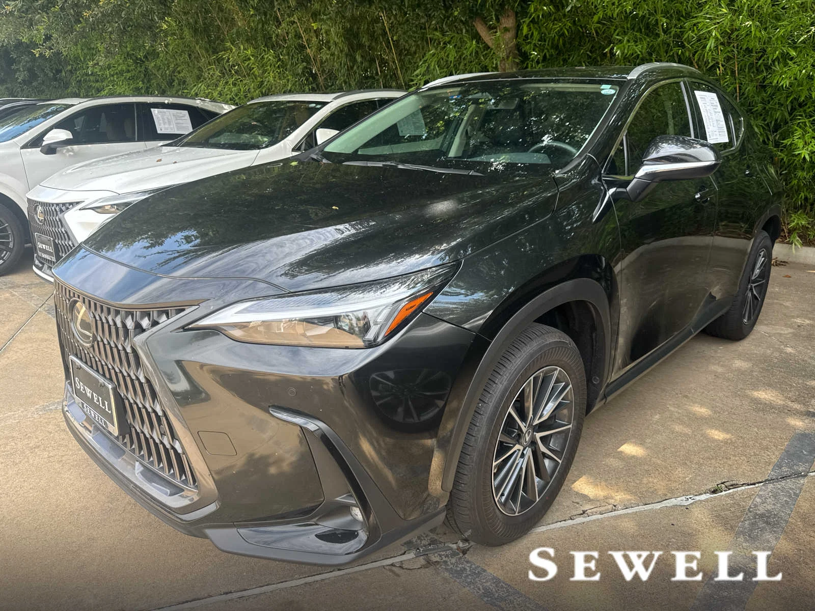 2025 Lexus NX 350 250 Premium FWD's photo