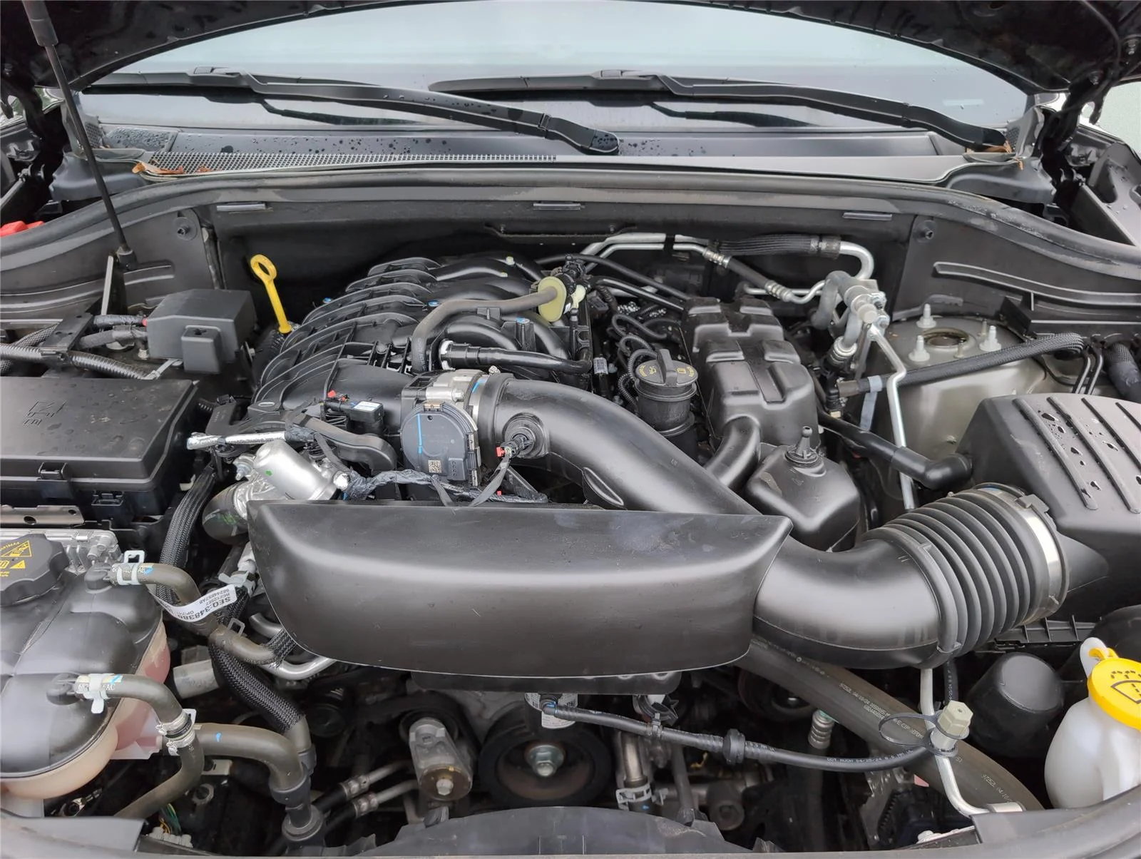 Used 2024 DB Black Clearcoat Dodge GT Plus image 12