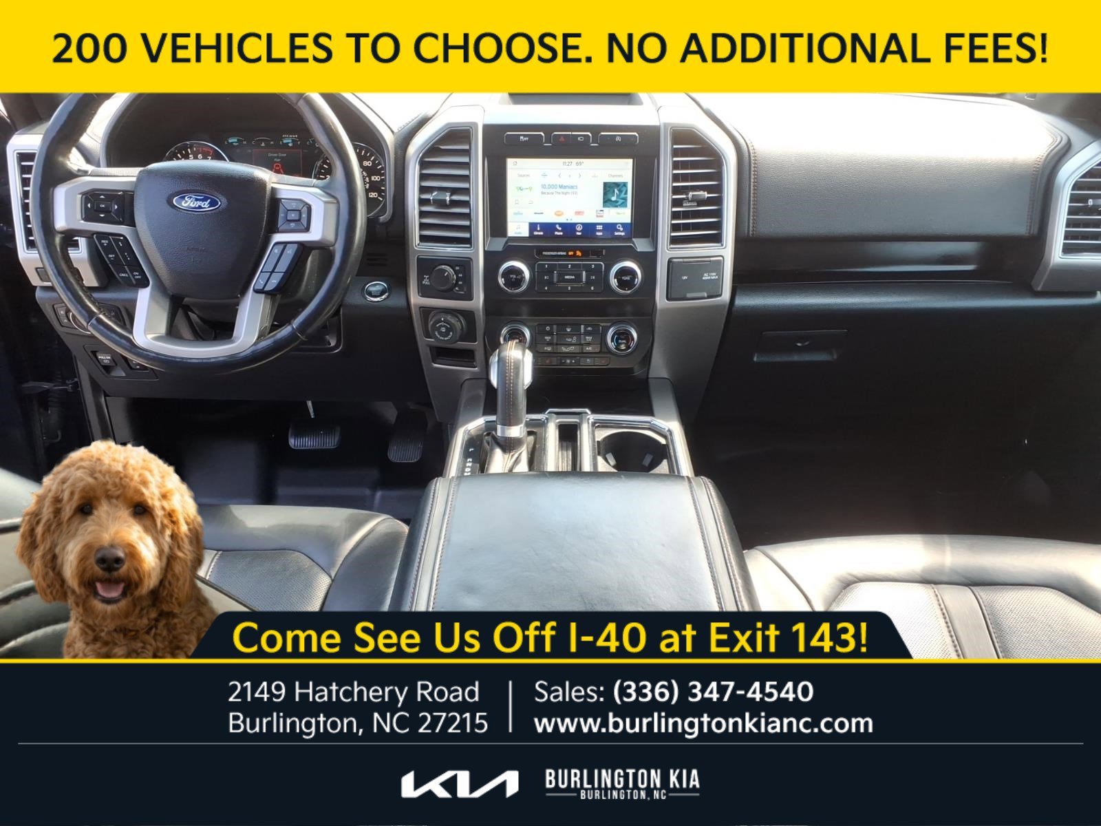 Used 2020 Blue Ford Platinum image 7