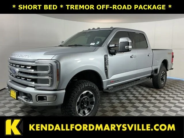 Used 2024 Silver Ford Platinum image 1