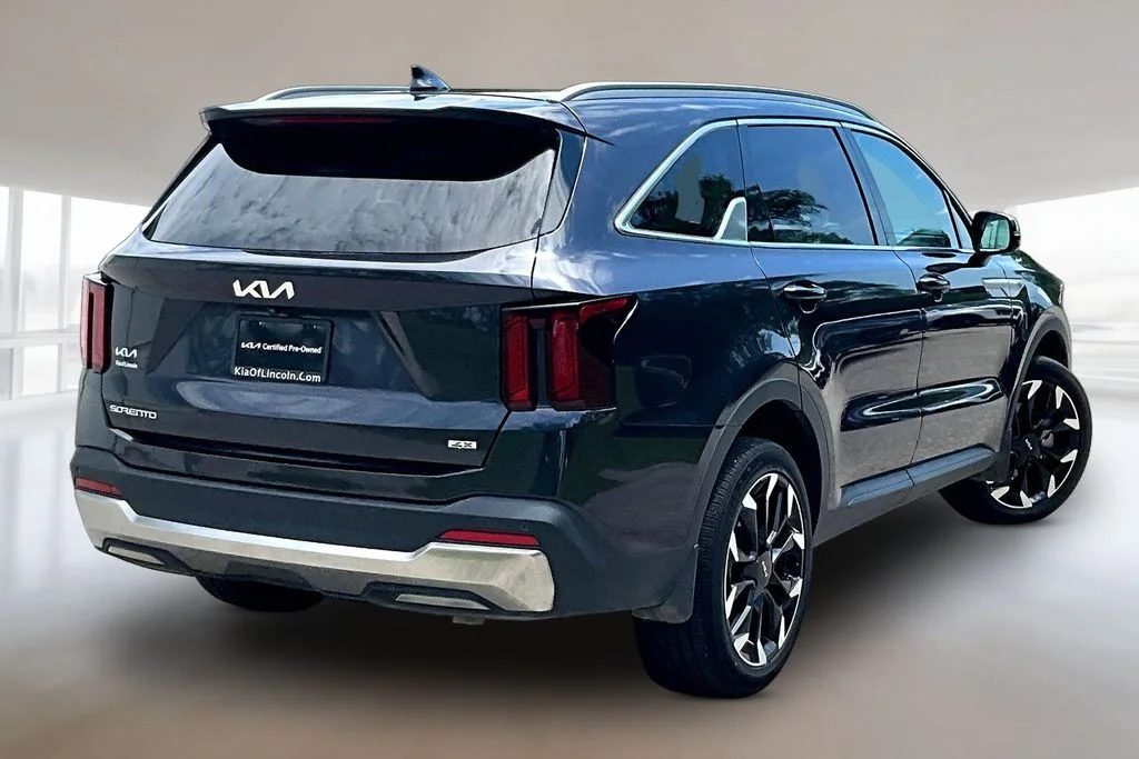 Certified Used 2025 Panthera Metal Kia EX image 6