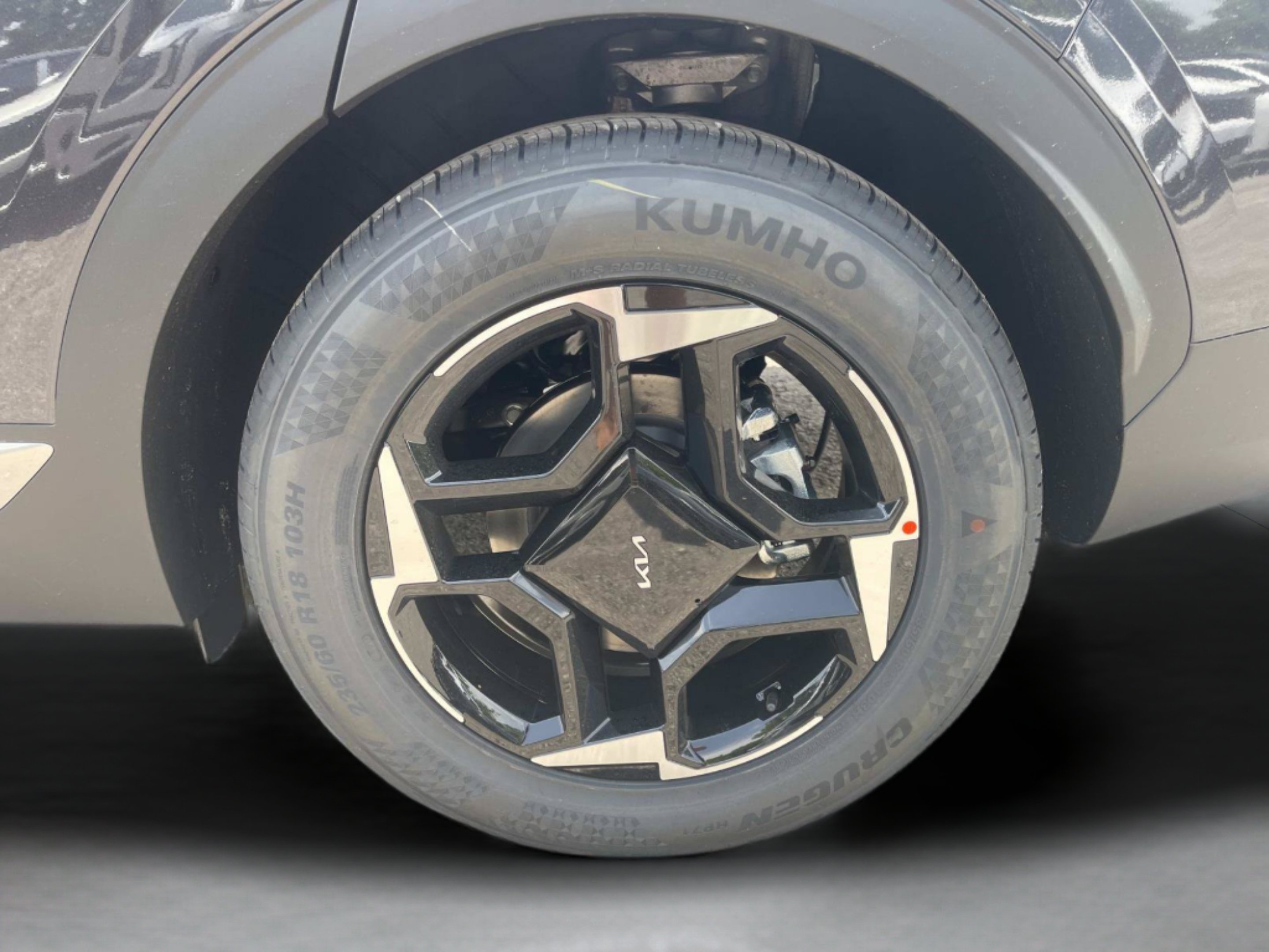 New 2026 Panthera Metal Gray Kia EX image 36