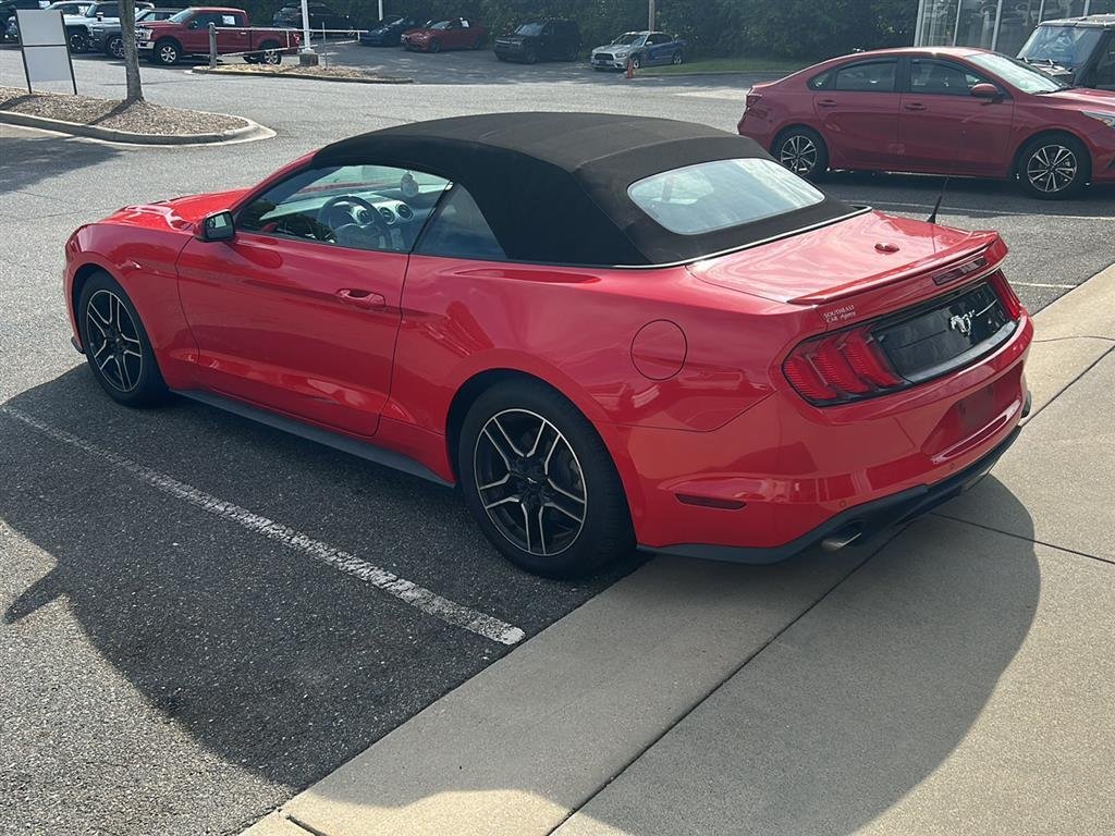 Used 2019 Race Red Ford EcoBoost Premium image 3