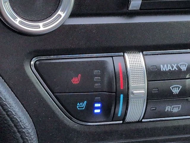 Used 2019 Black Ford EcoBoost Premium image 21