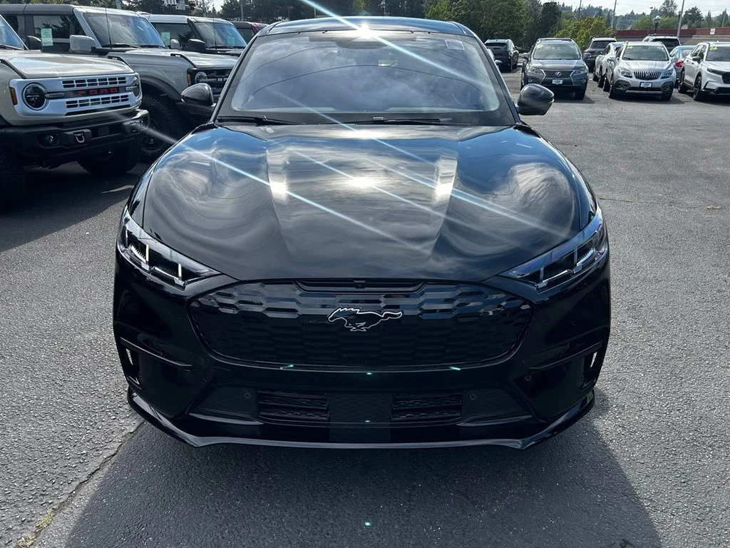 New 2026 Shadow Black Ford Premium image 3