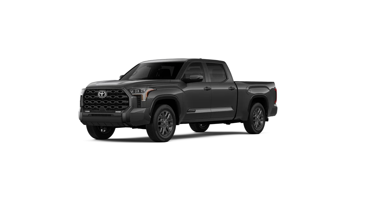 New 2026 Magnetic Gray Metallic Toyota Platinum image 23