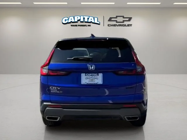 Used 2024 Blue Honda Sport image 6
