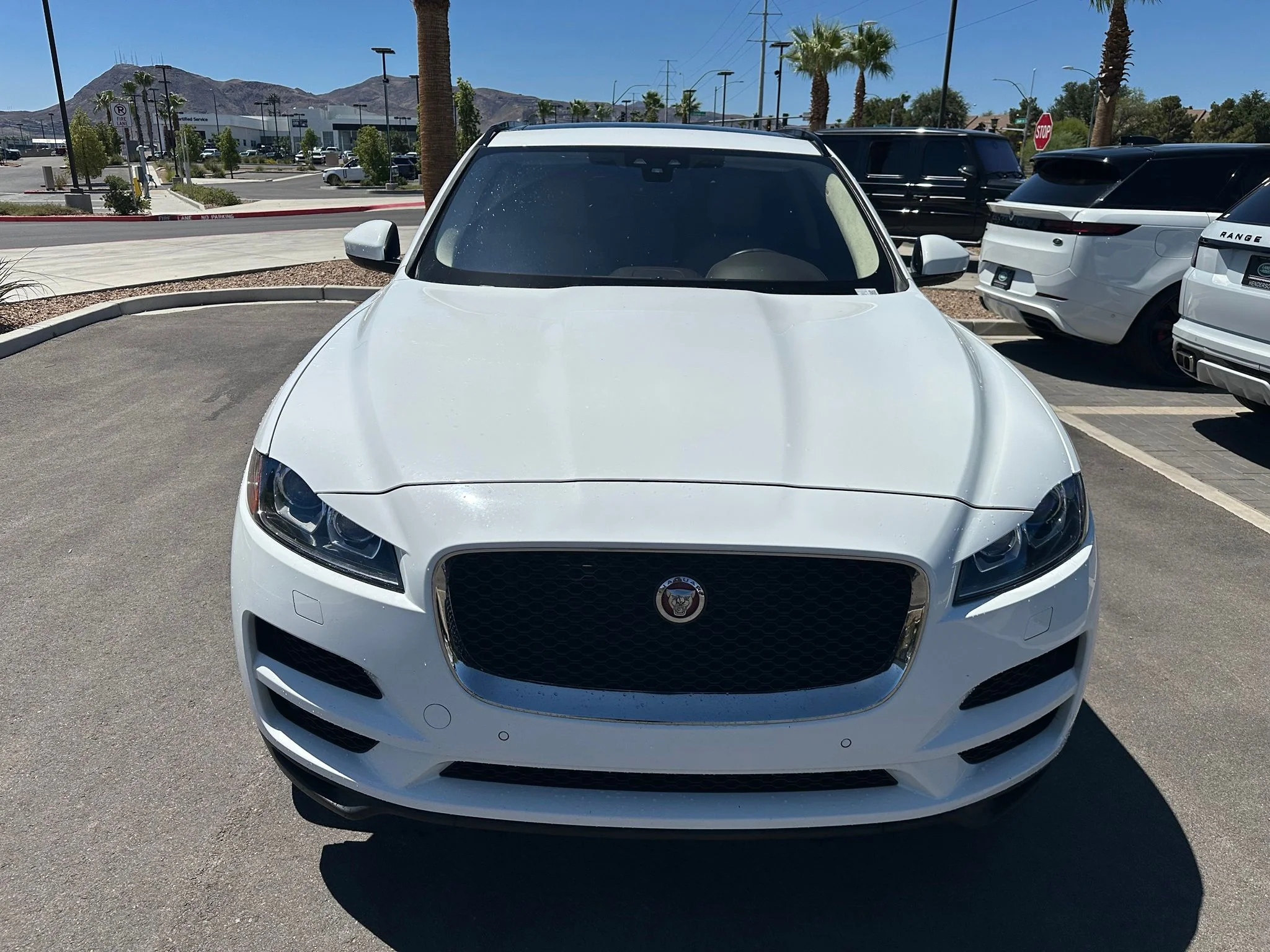 Used 2019 Fuji White Jaguar 25t Prestige image 8