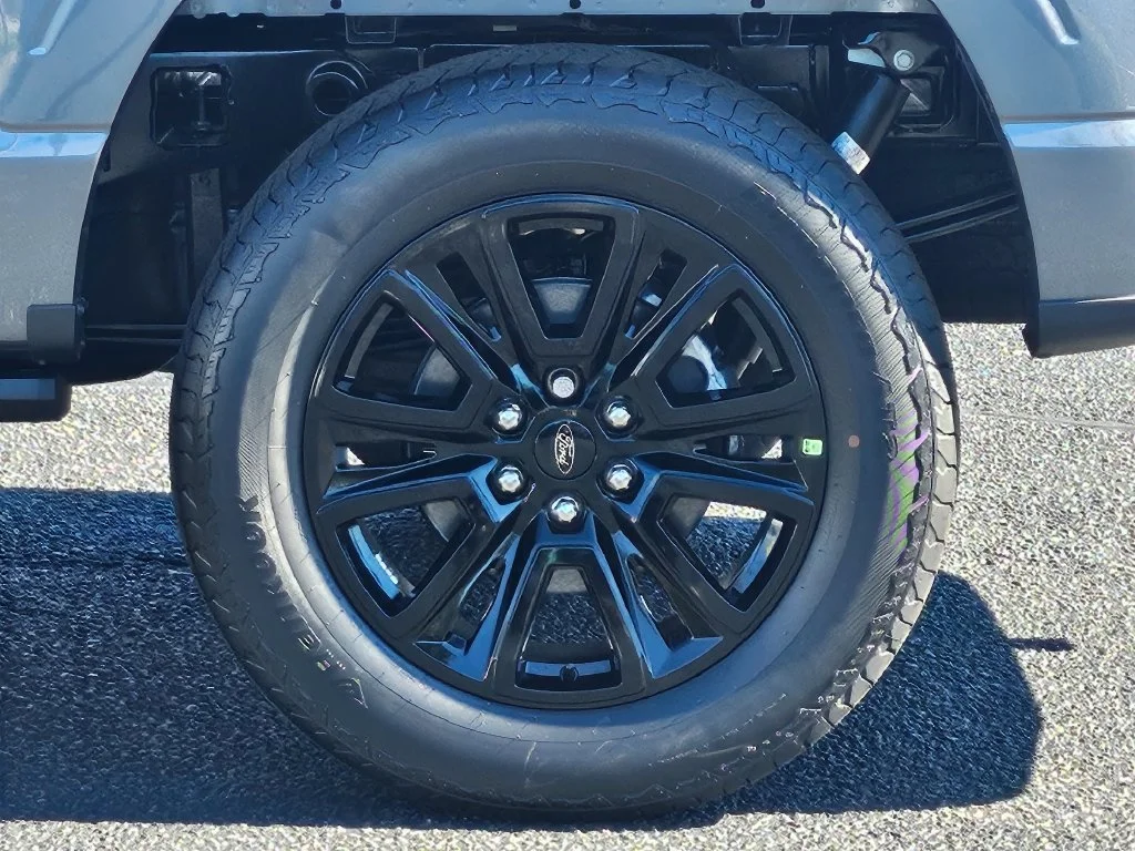 New 2026 Gray Ford Platinum image 17