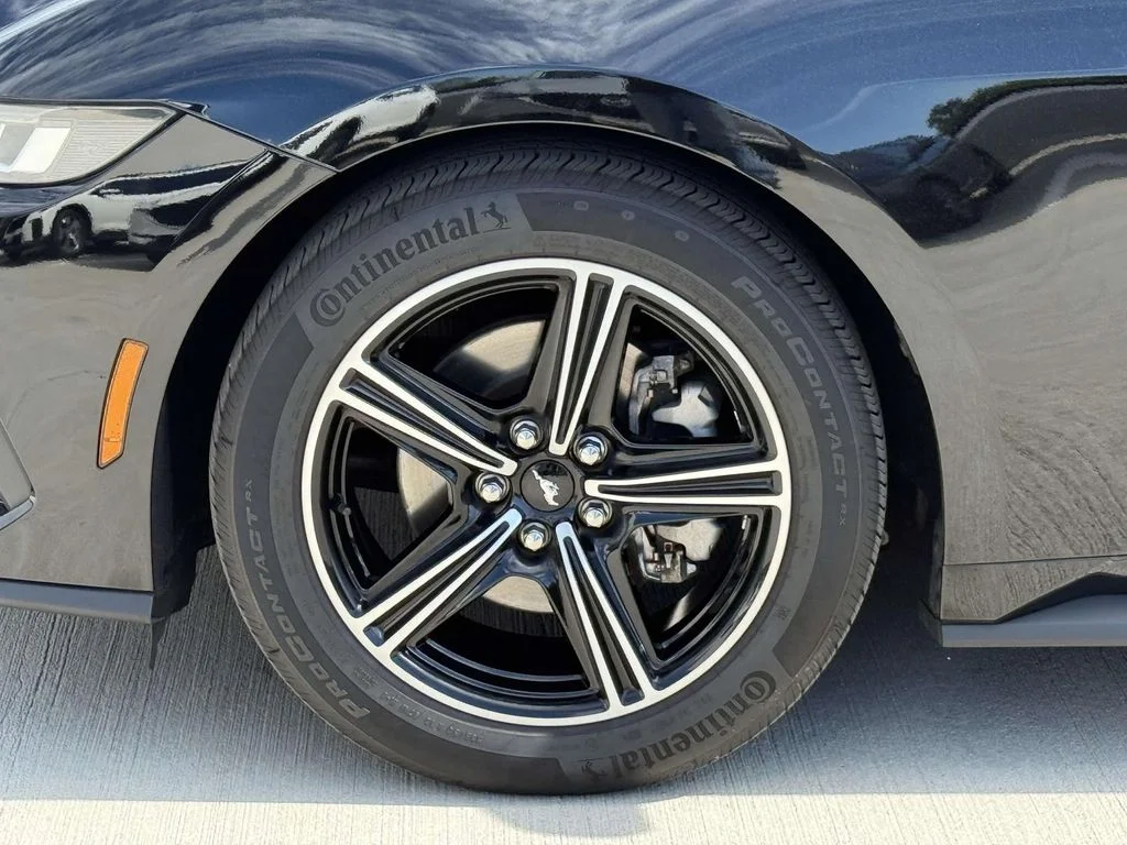 Used 2025 Black Ford EcoBoost image 11