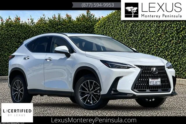 2025 Lexus NX 350h 350h Premium AWD's photo