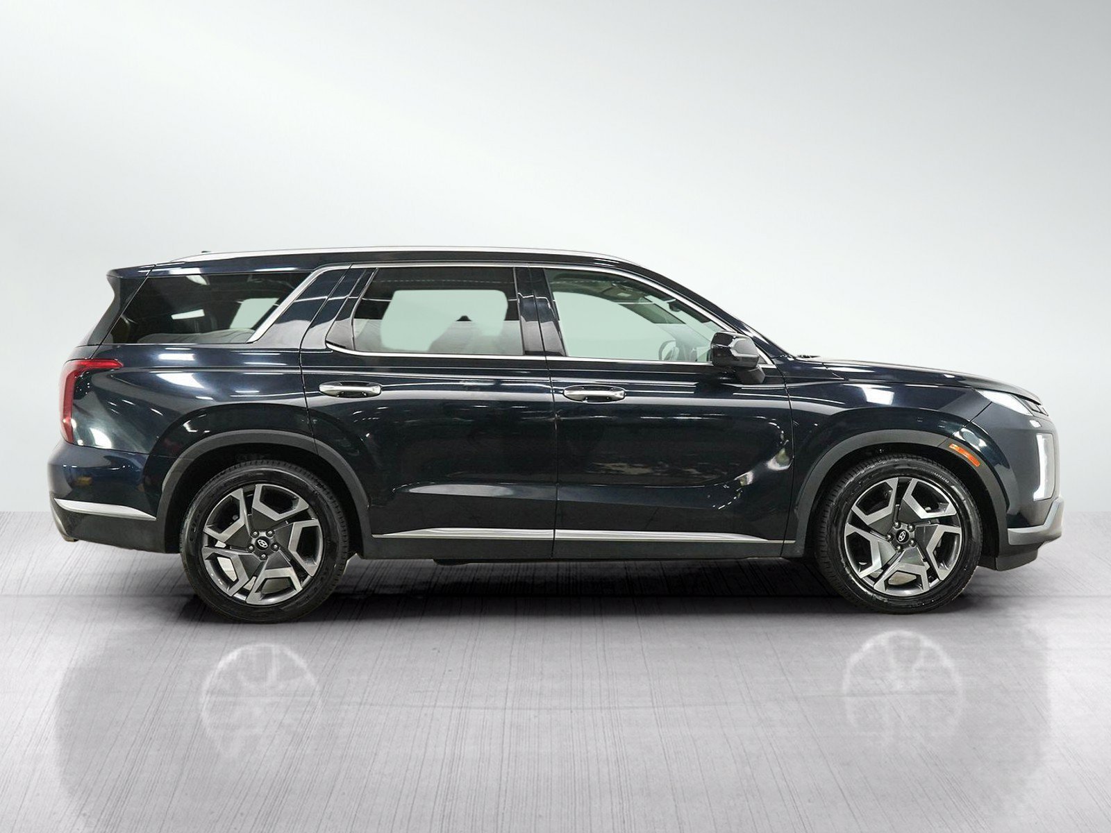 2024 Hyundai Palisade Limited - Photo 6
