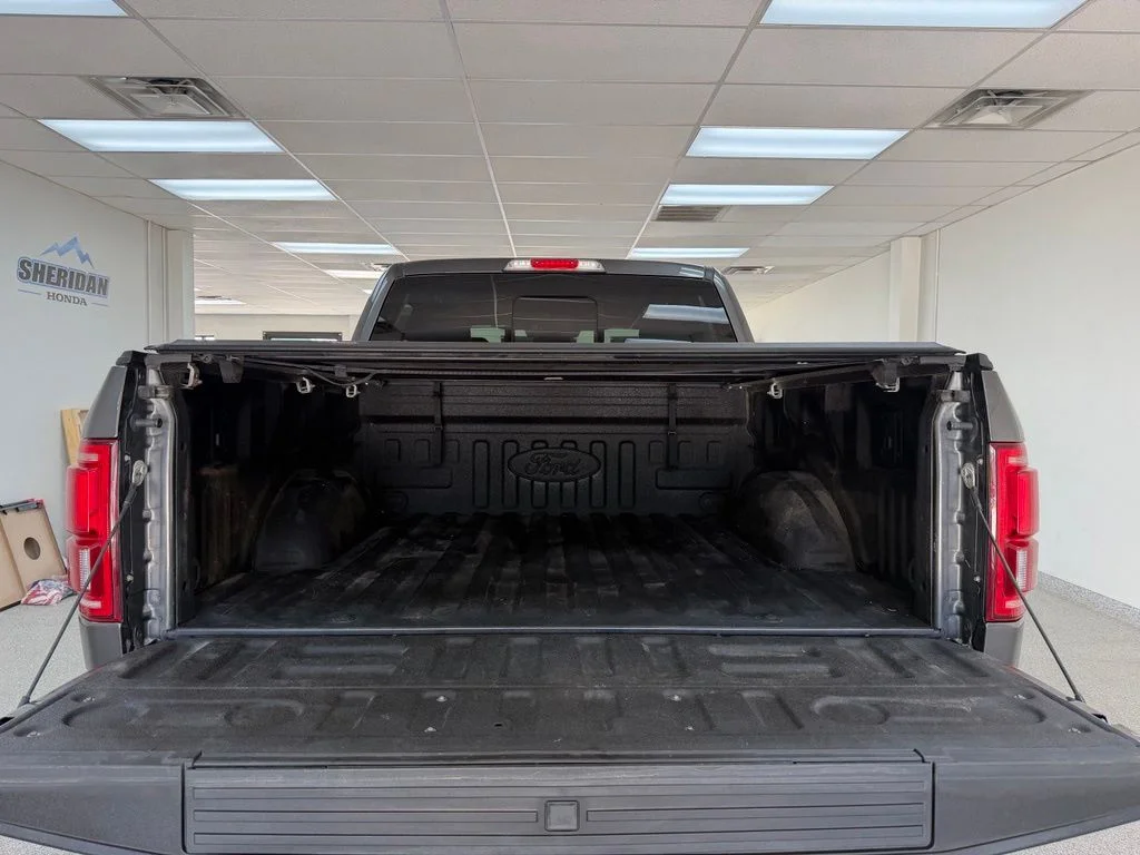 Used 2015 Gray Ford Platinum image 10
