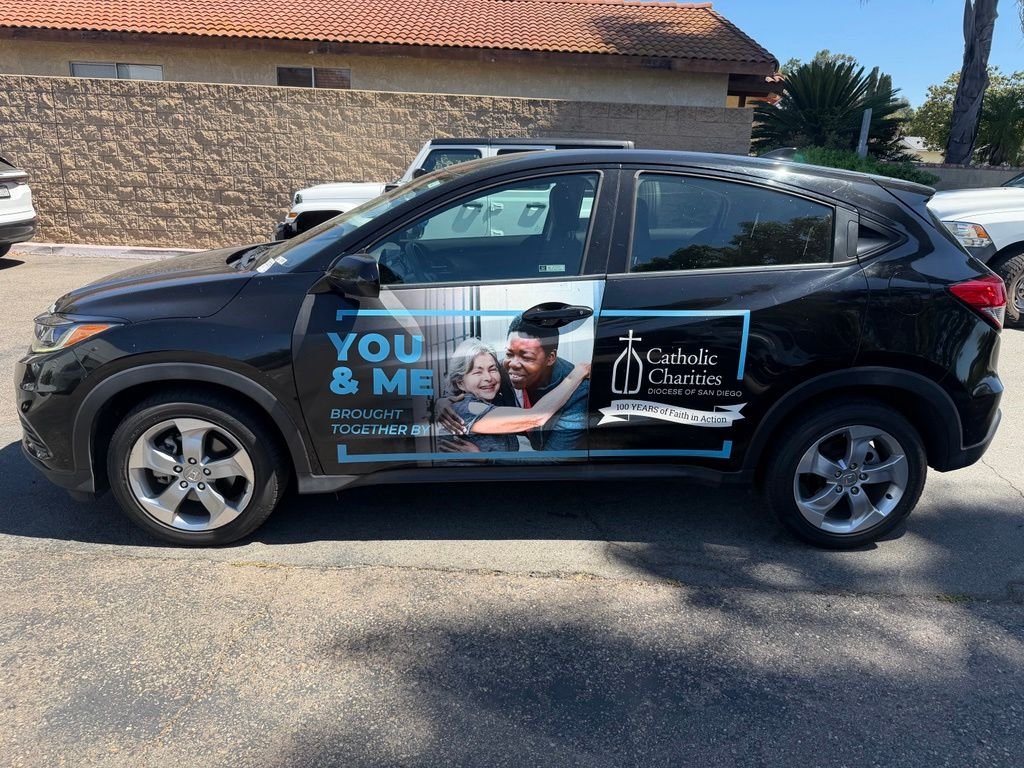 Used 2019  Honda LX image 8