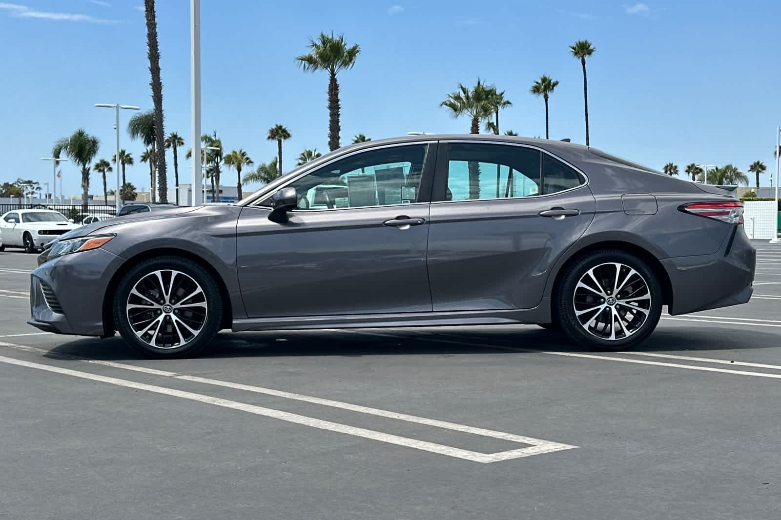 Certified Used 2019 Predawn Gray Mica Toyota SE image 7