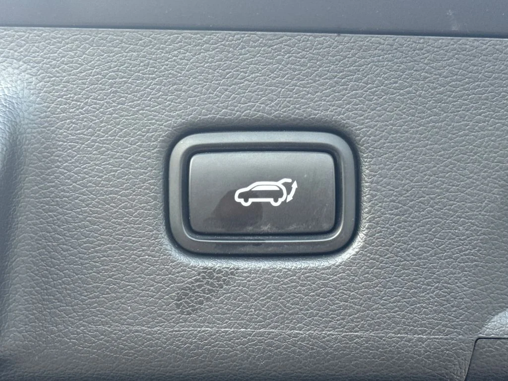 Used 2022 Rainforest Hyundai Calligraphy image 27