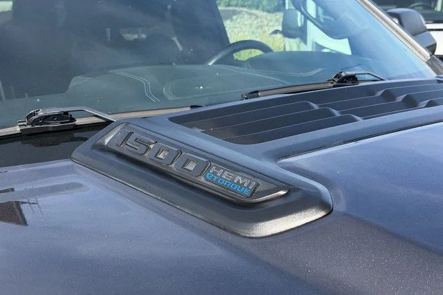 Used 2021 Gray Ram Rebel image 6