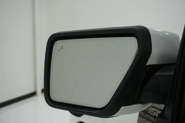 Used 2023 WHITE Ford Platinum image 15