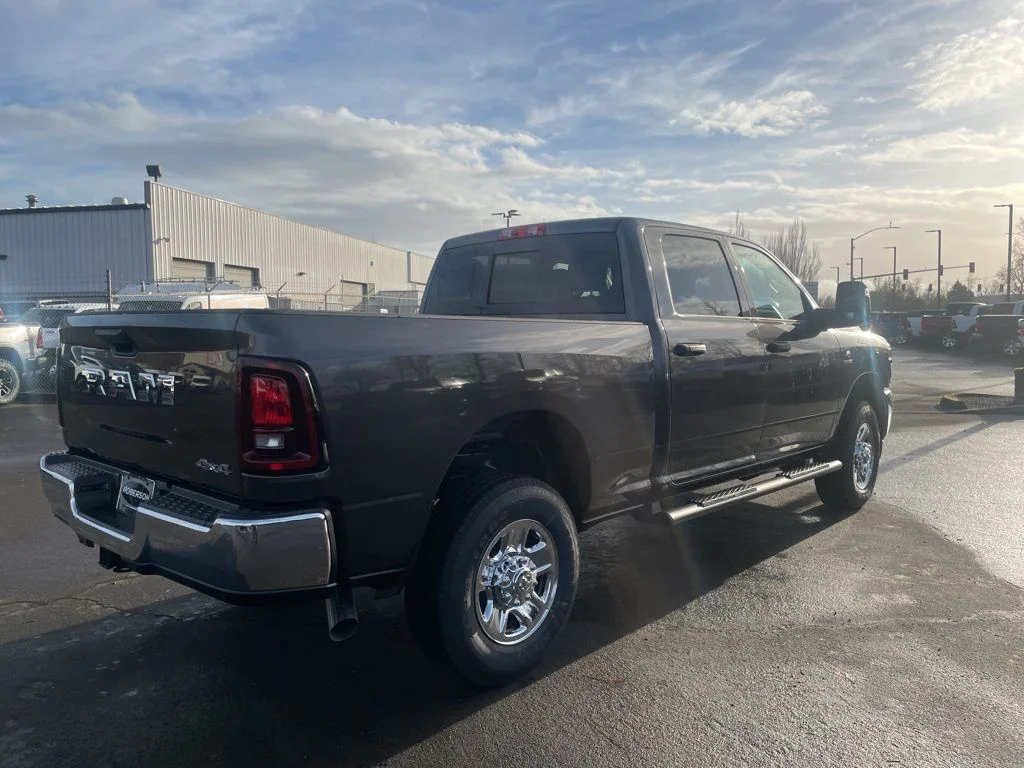 New 2026 Granite Crystal Metallic Clear-Coat Exterior Paint RAM Tradesman image 6