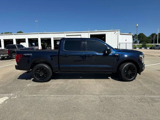 Used 2024 Blue Ford Platinum image 11
