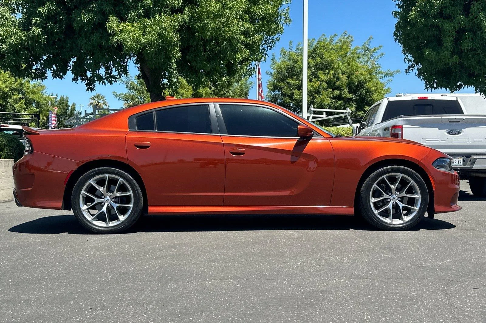 Used 2020 Go Mango Dodge GT image 3