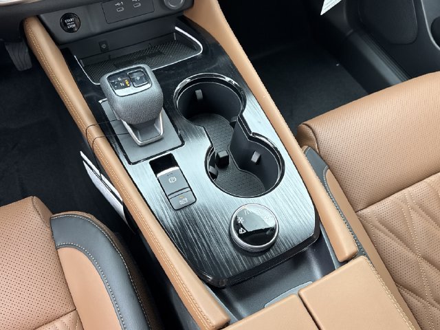 New 2026 Black Nissan Platinum image 19