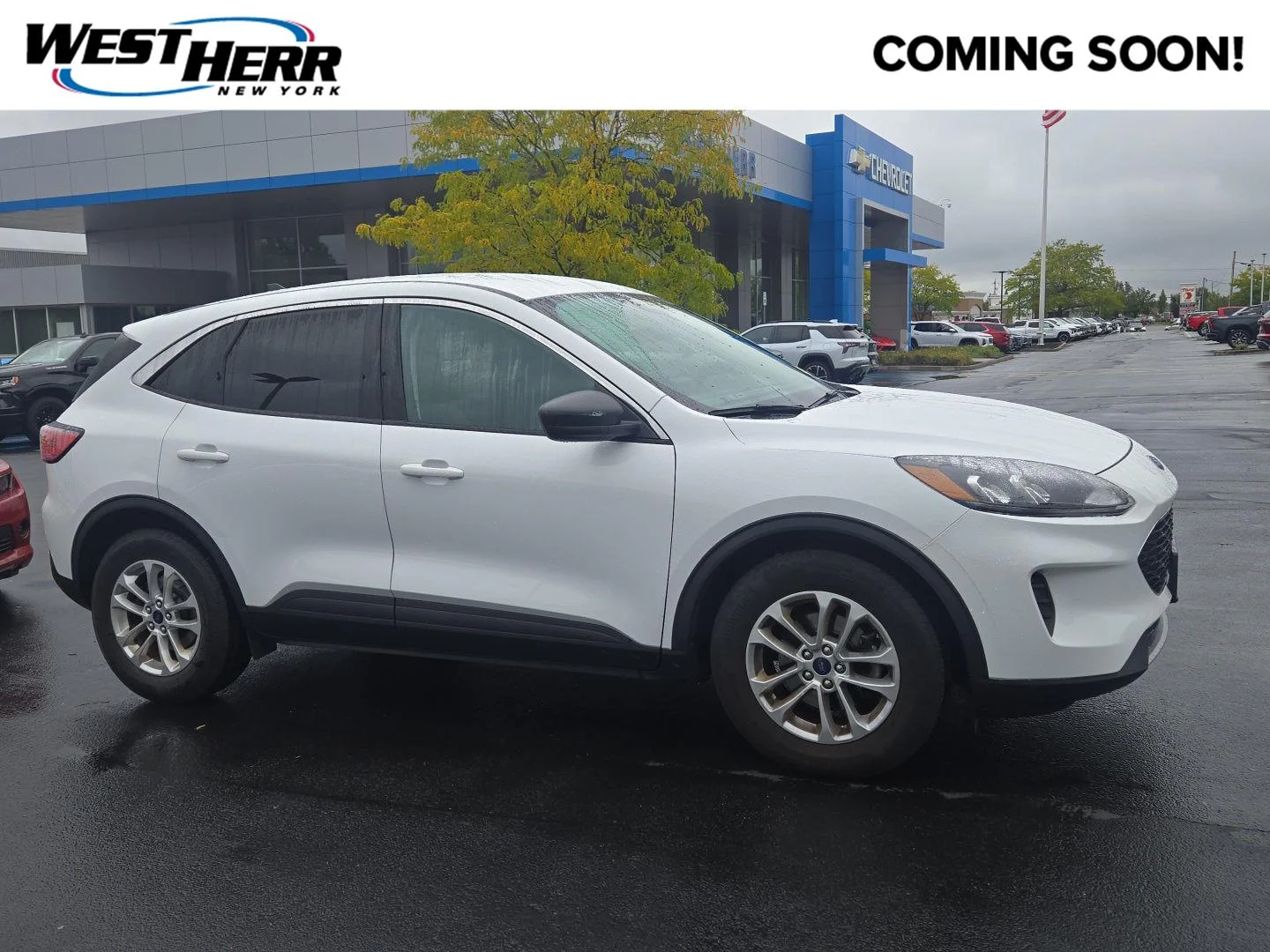 Used 2022 Oxford White Ford SE image 1