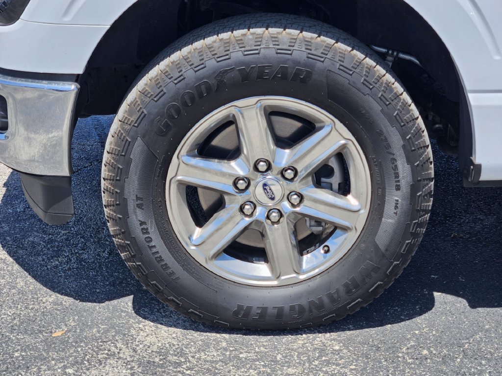 Used 2025 White Ford XLT image 10
