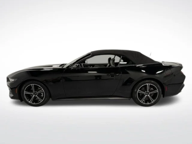 Used 2024 Black Ford EcoBoost Premium image 5