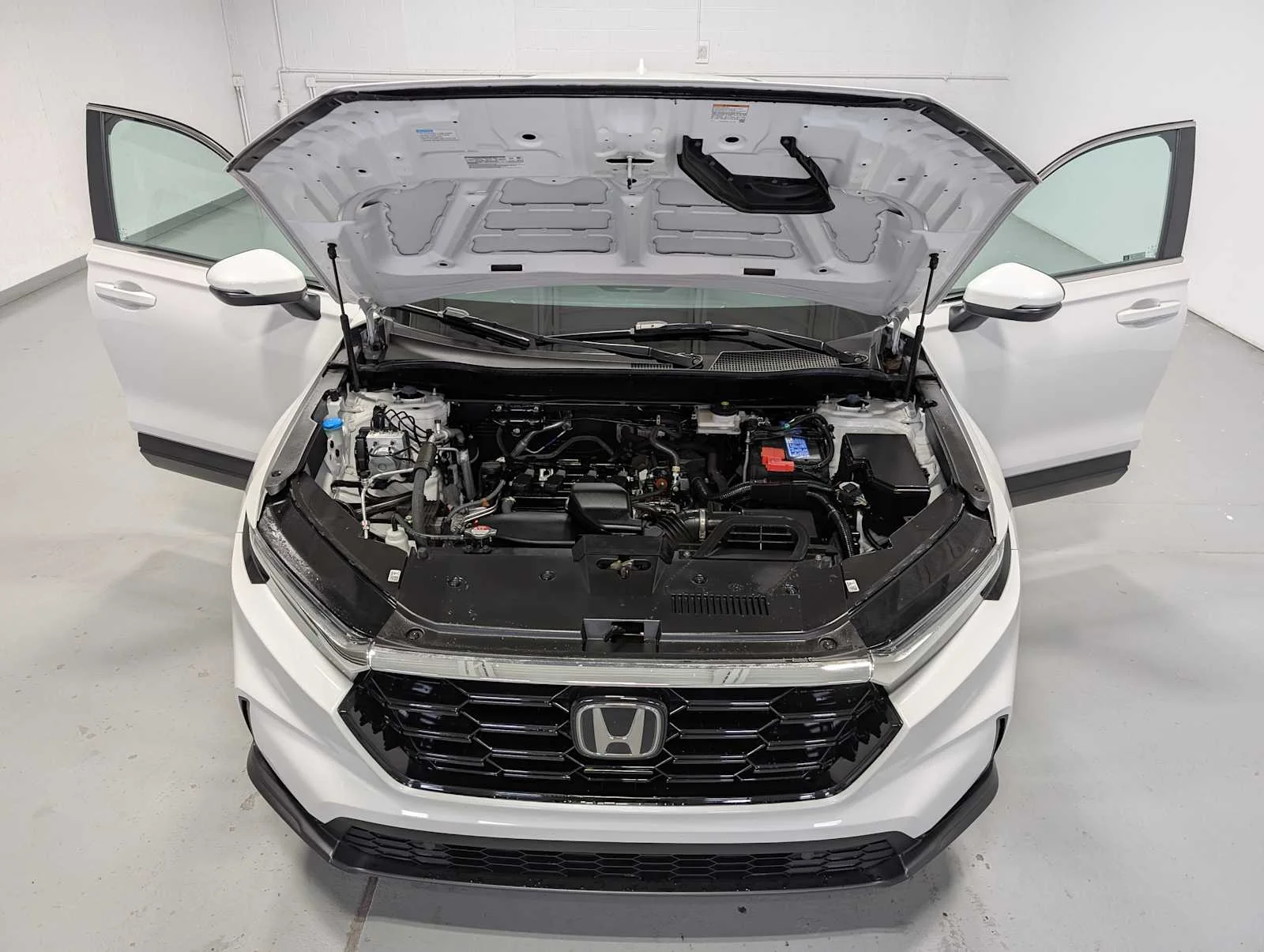 Used 2024 Platinum White Pearl Honda EX-L image 13