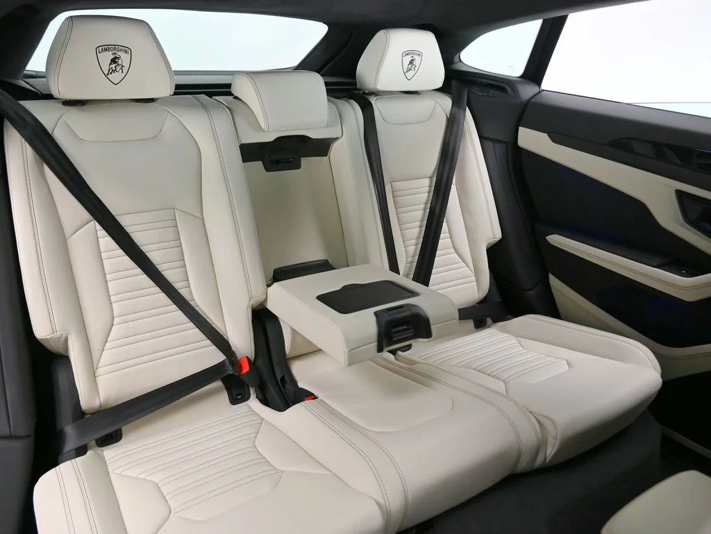 New 2026 Nero Nemesis Matt Lamborghini SE image 13