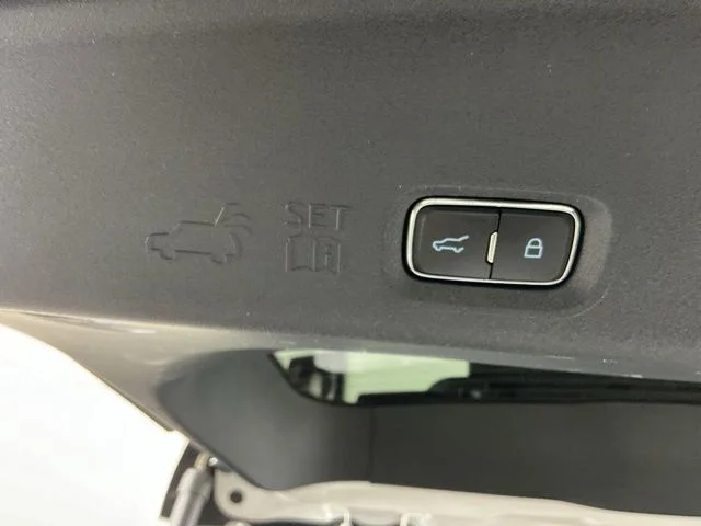 Used 2025 White Ford Platinum image 39