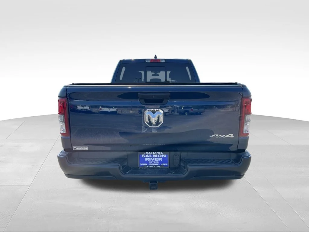 Used 2024 Blue Ram Tradesman image 6