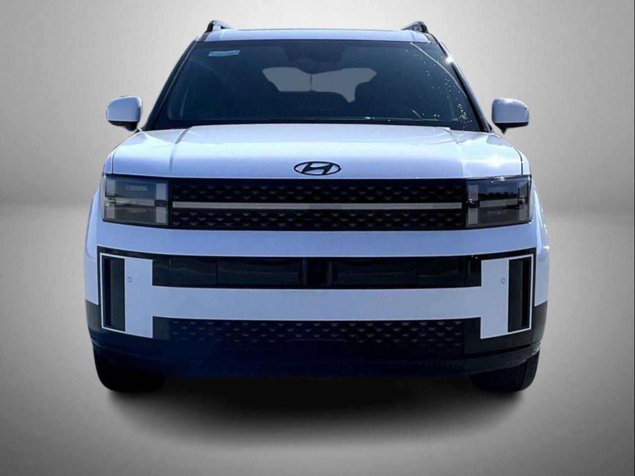 New 2026 White Hyundai Calligraphy image 2