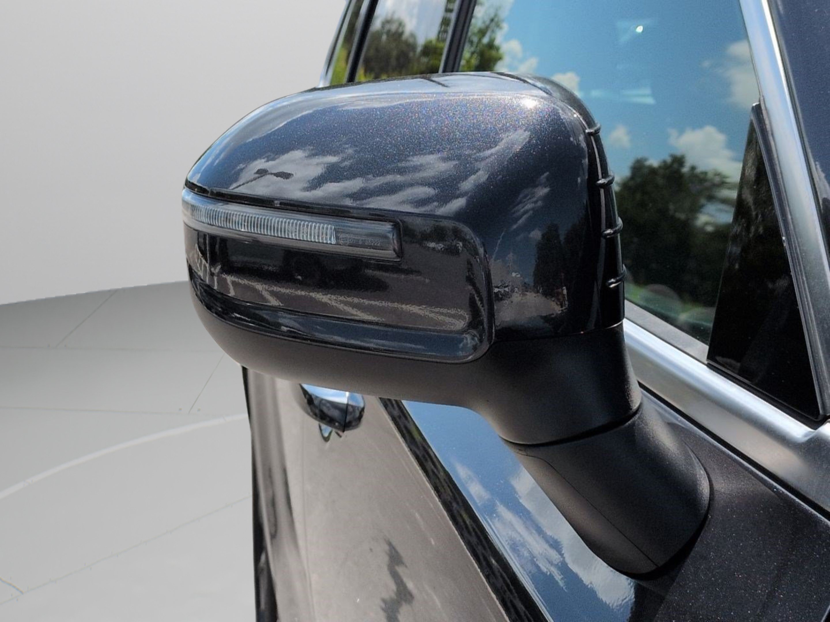 Used 2025 Panthera Metal Kia S image 13
