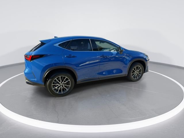 2025 Lexus NX 250 - Photo 8