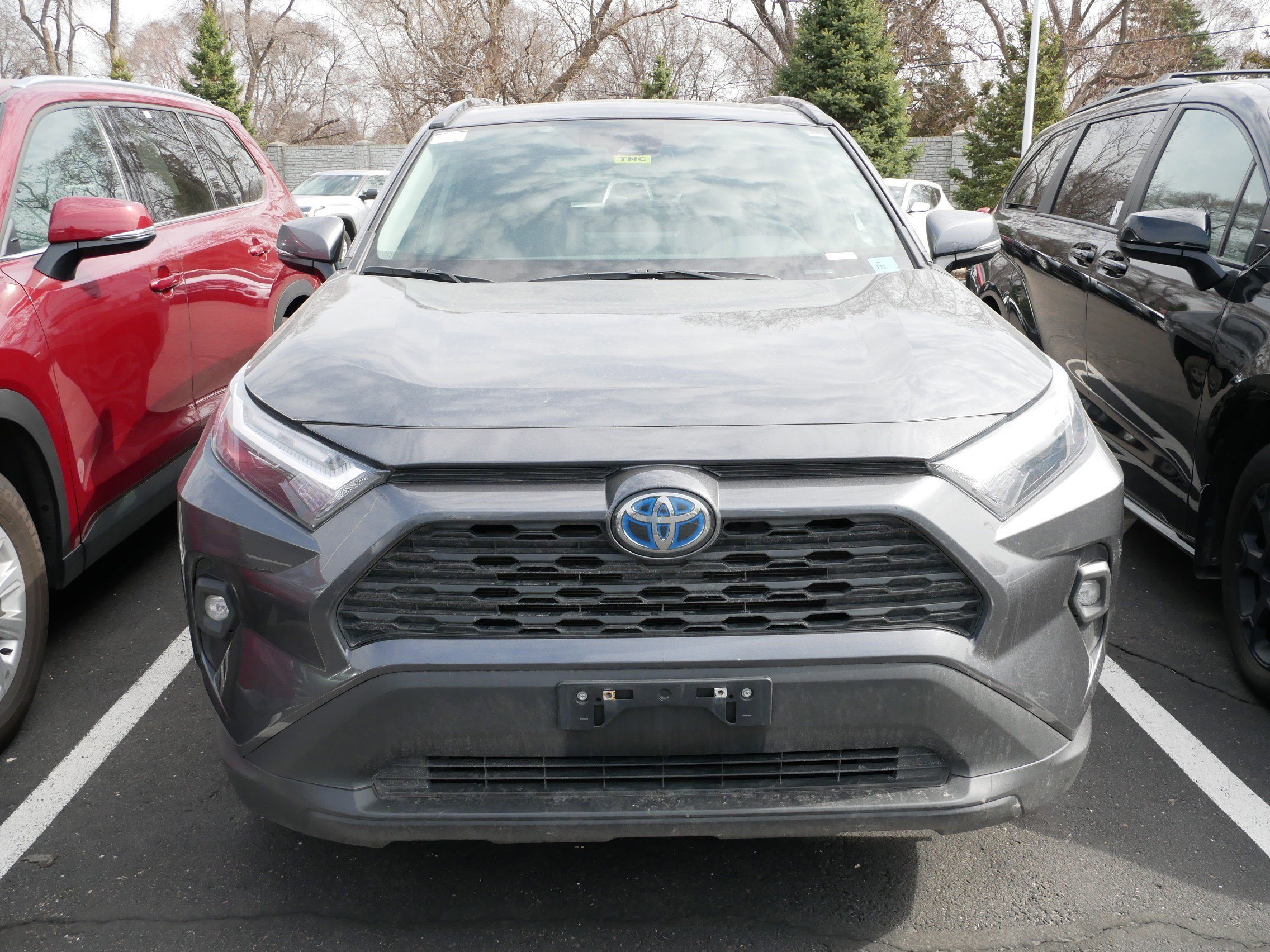 Certified 2024 Toyota RAV4 XLE Premium with VIN 2T3B6RFV5RW076191 for sale in Brooklyn Center, Minnesota