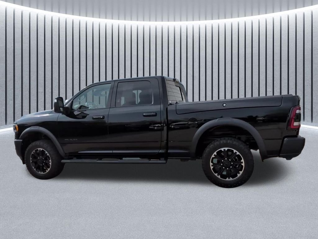 Used 2024 Black Ram Rebel image 14