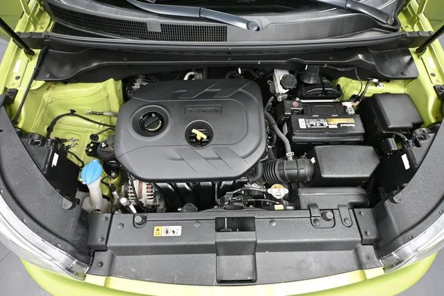 Used 2019 Green Kia Plus image 47