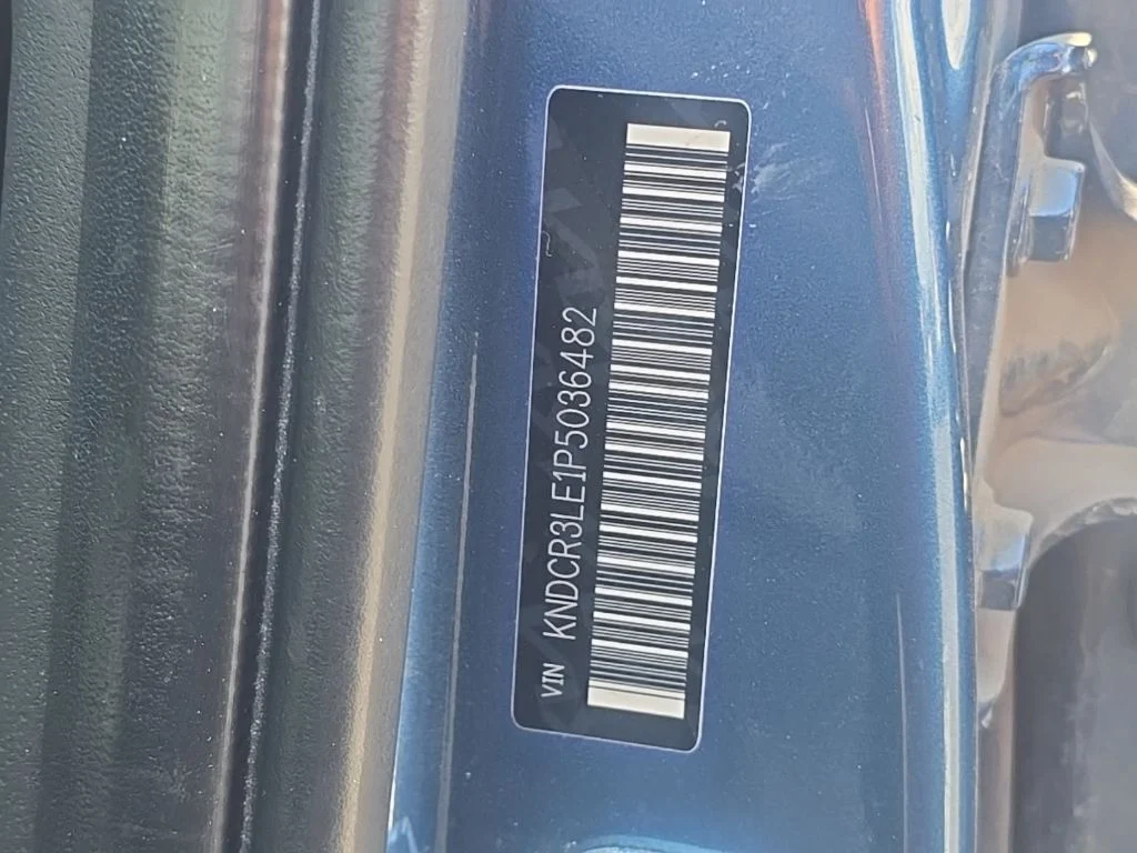 Used 2023 Mineral Blue Kia EX Touring image 14