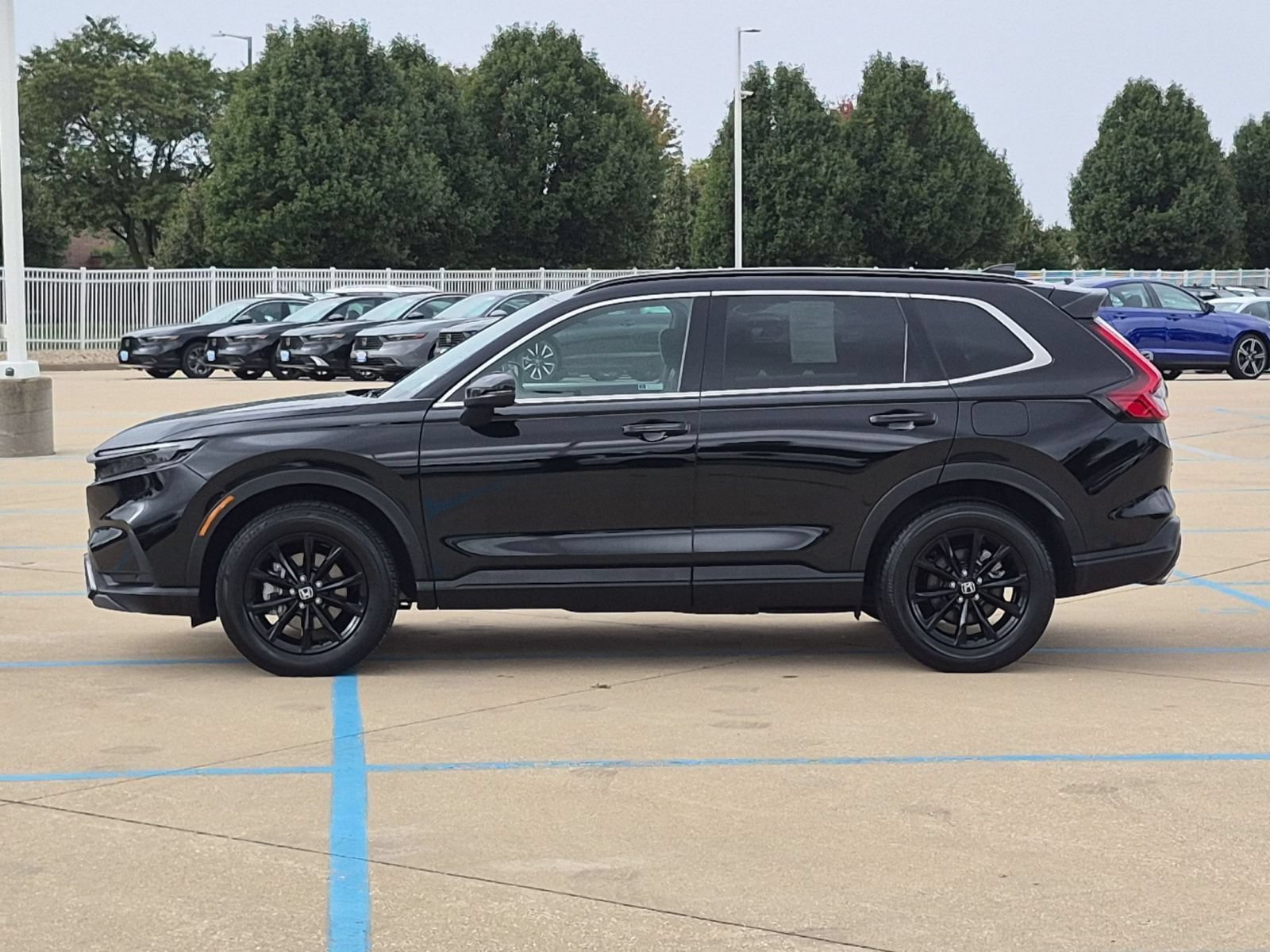 Certified Used 2024 Black Honda Sport-L image 9