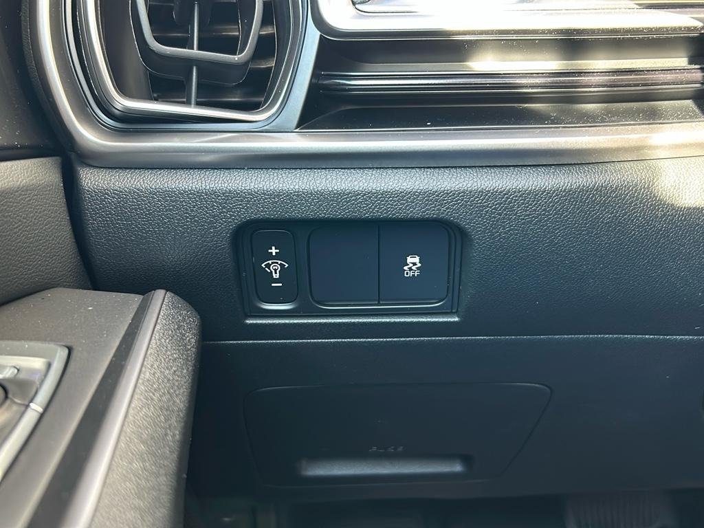 Certified Used 2025 Panthera Metal Kia S image 32