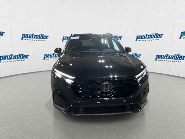 Used 2023 Black Honda Sport image 3