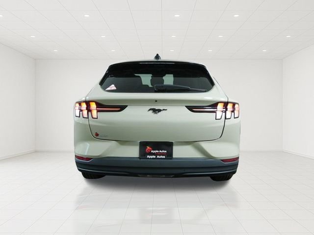 Certified Used 2025 Beige Ford Select image 8
