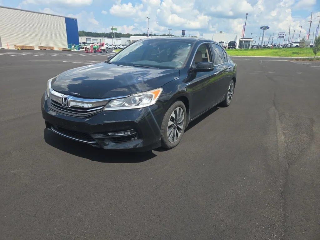Used 2017 Blue Honda Base image 3