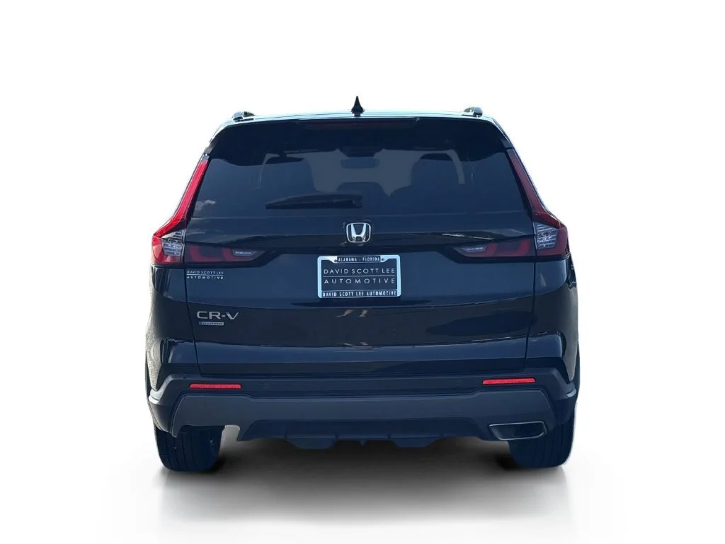 Used 2025 Black Honda Sport-L image 6