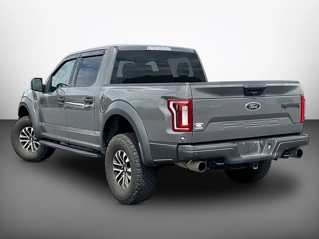Used 2020 Gray Ford Raptor image 4