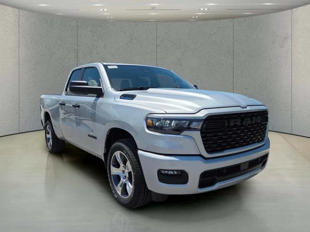 New 2026 Silver Zynith Exterior Paint RAM Express image 13
