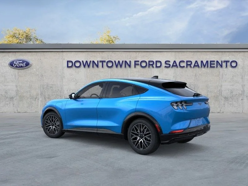 New 2024 Blue Ford Premium image 5